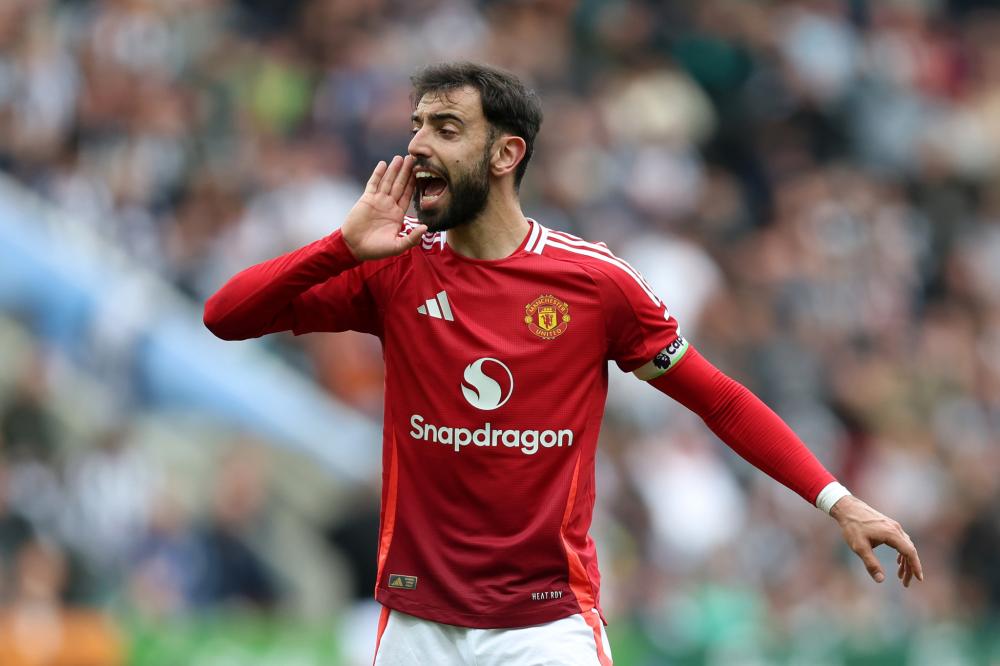 他们被目前 他们被目前